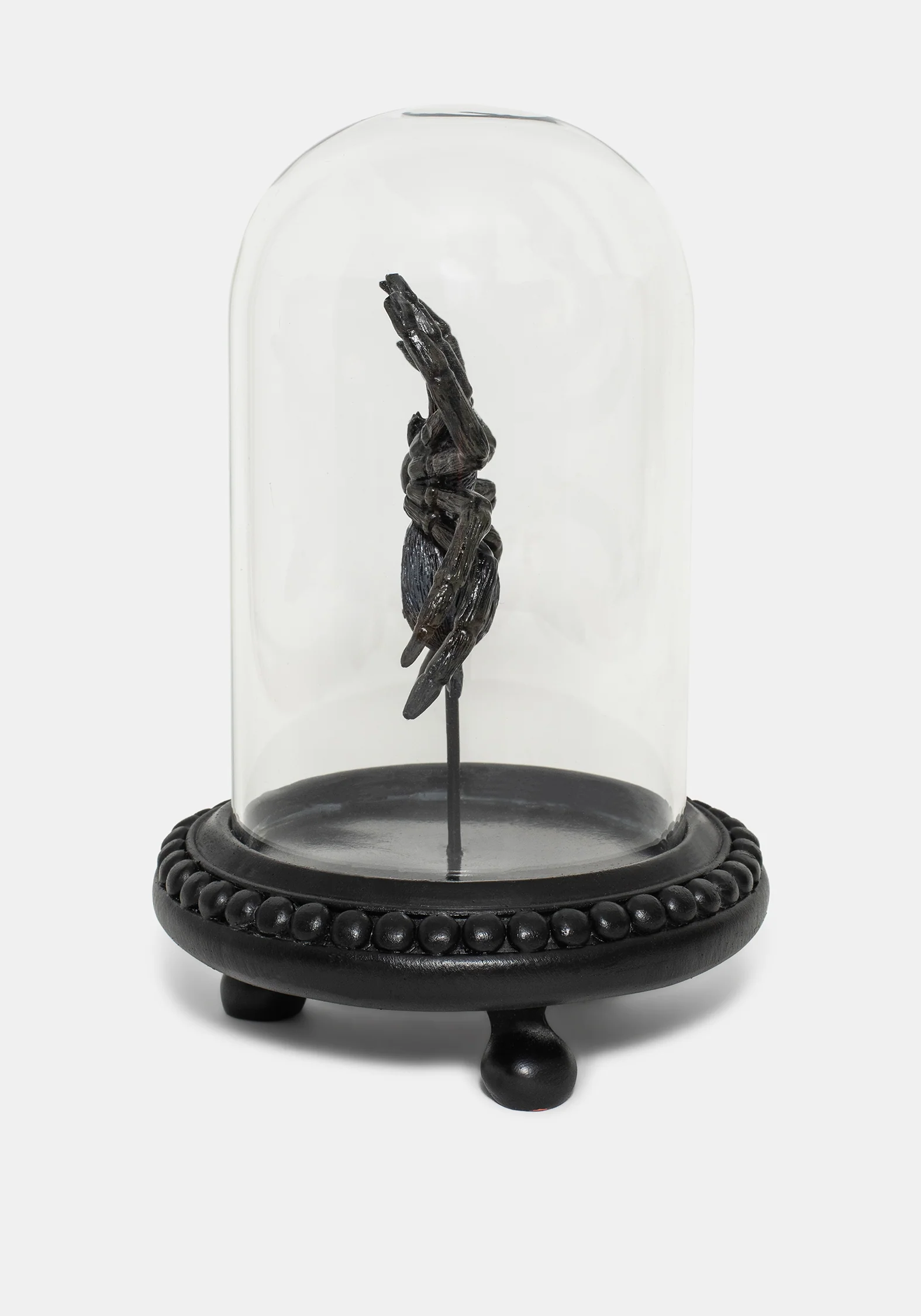 Arachne Spider In Jar - Image 4