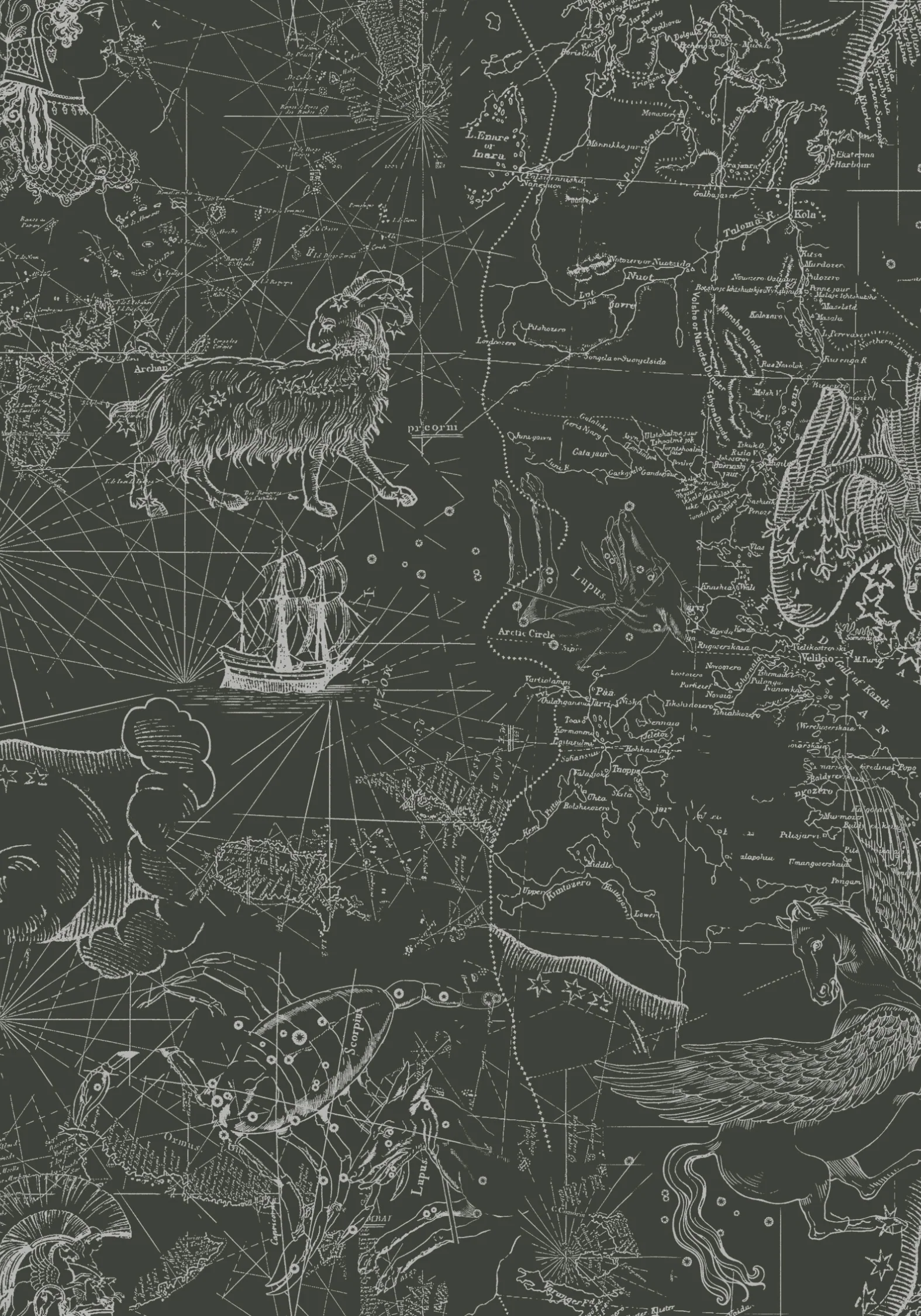 Kosmara Map Print Shirred Cami Playsuit - Image 9