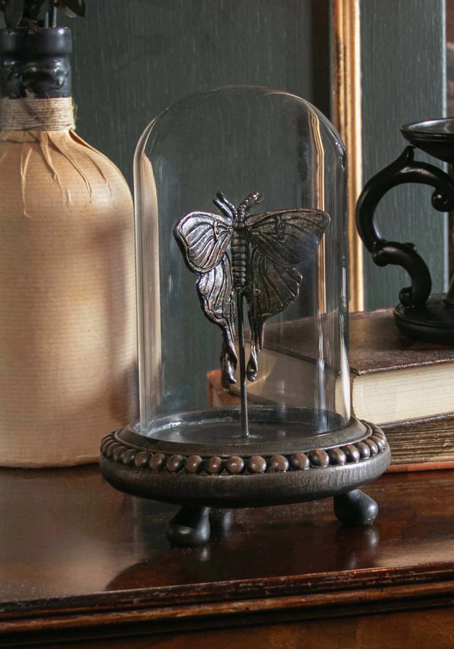 Luna Moth In Jar
