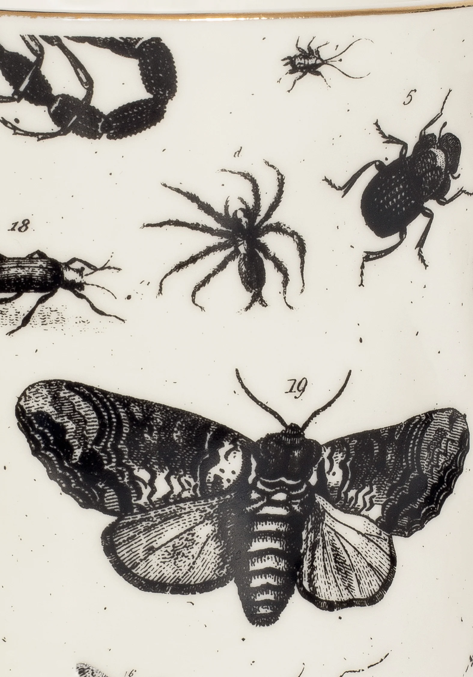 Parasite Bugs Print Mug - Image 3